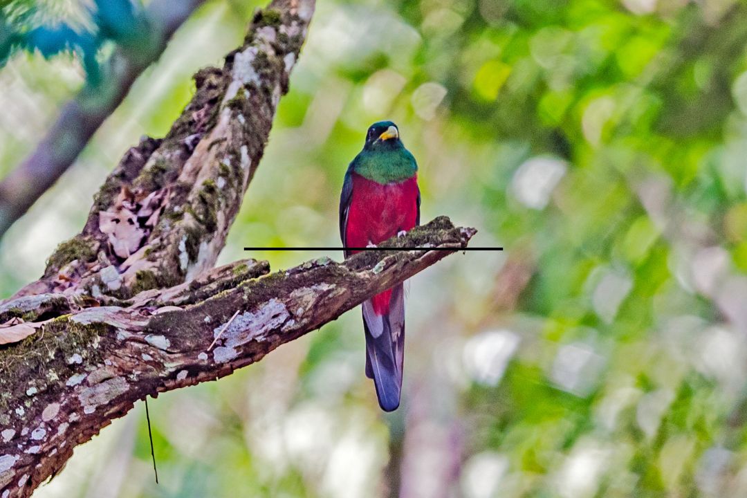 Arusha National Park (1)