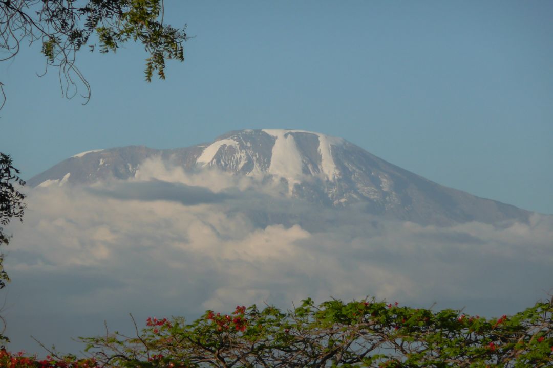 Machame Route Climbing (2)