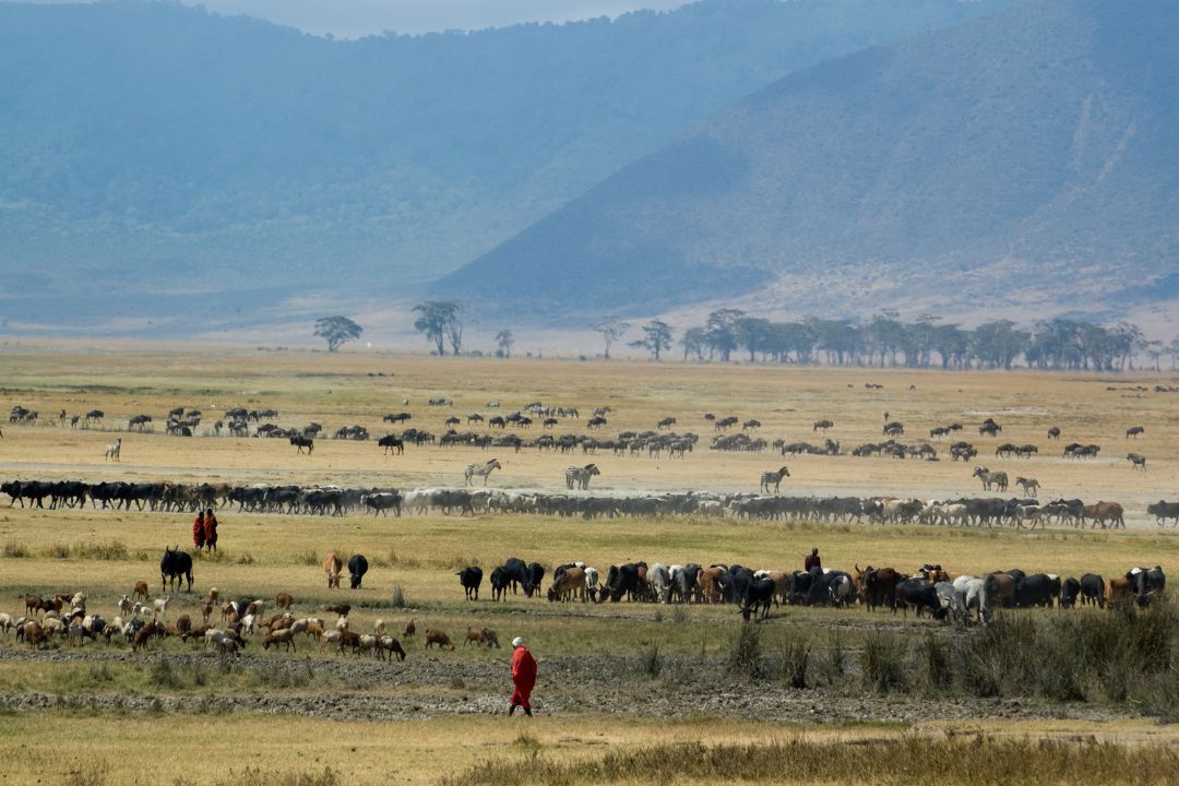 Ngorongoro Crater (2)