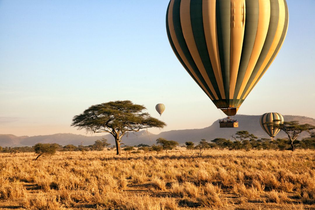 Serengeti National Park (1)