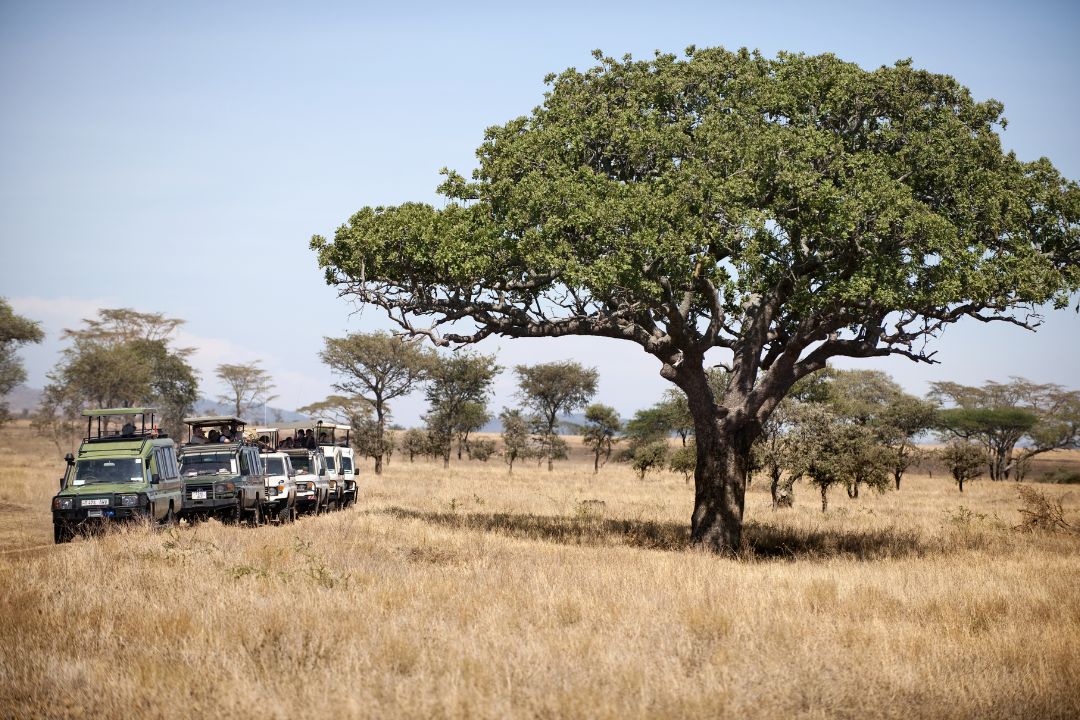 Serengeti National Park (2)