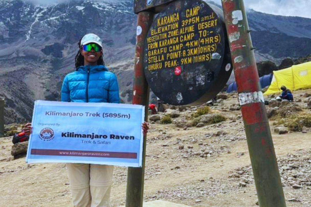 Kilimanjaro raven1 karanga camp