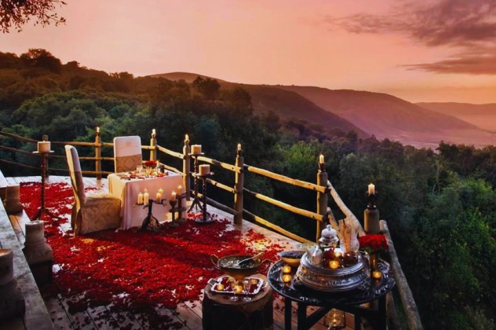Honeymoon Safari