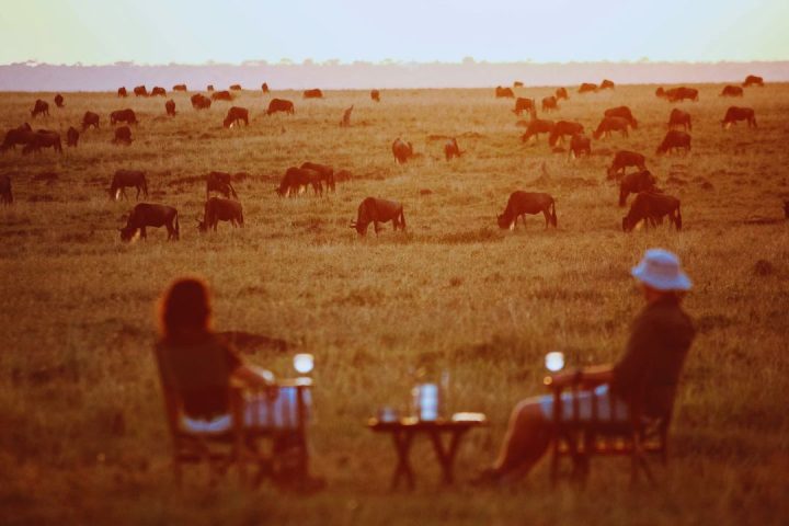 Honeymoon Safari