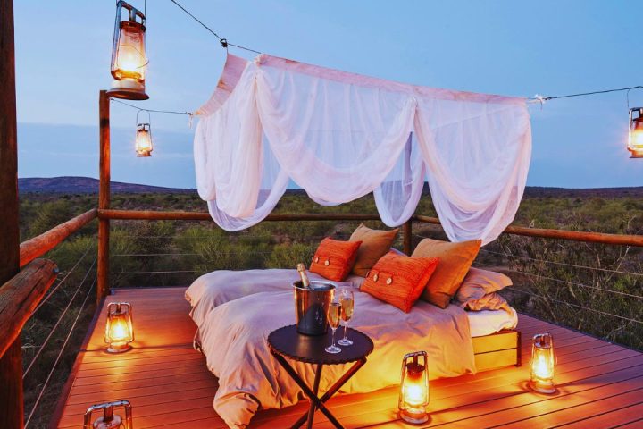 Honeymoon Safari