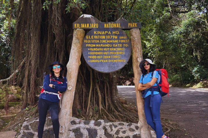 Kilimanjaro raven kinapa