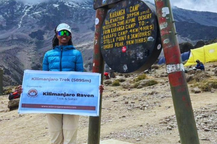 Kilimanjaro raven1 karanga camp