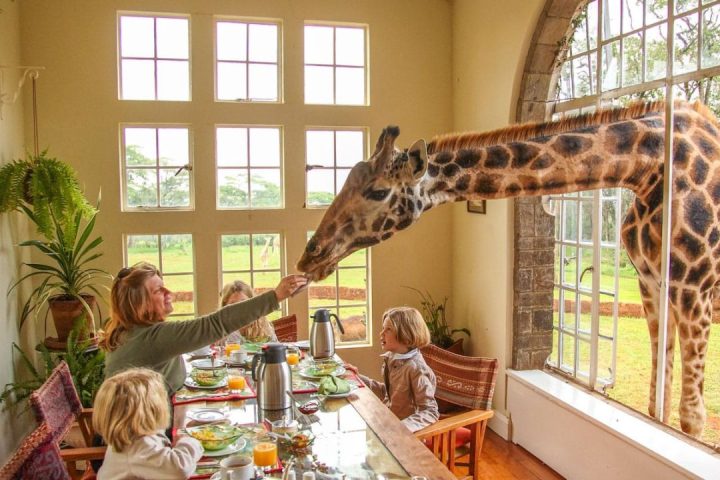 Luxury Safari