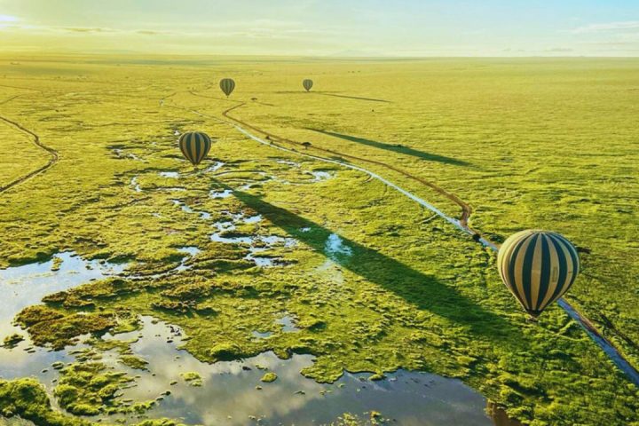 balloon Safari (1)
