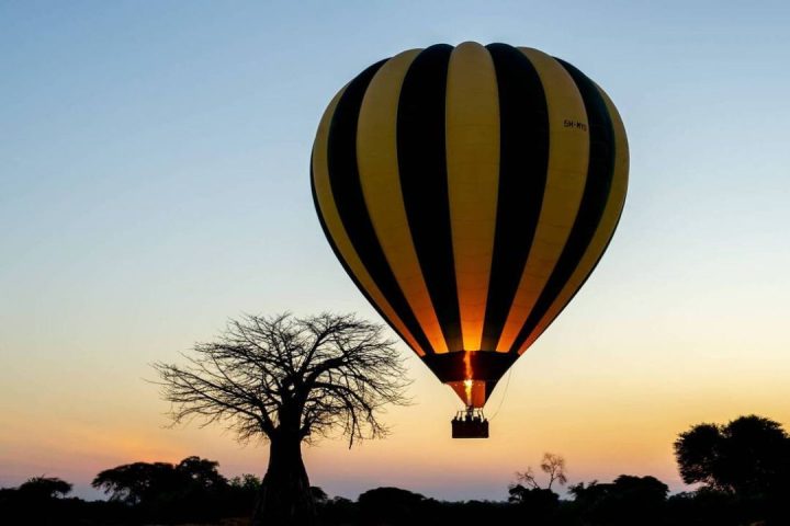 balloon Safari (2)
