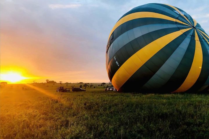 balloon Safari (3)