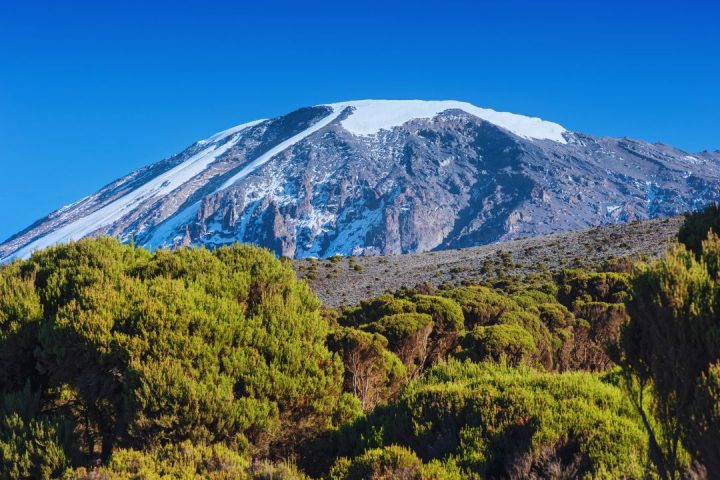 kilimanjaro (3)