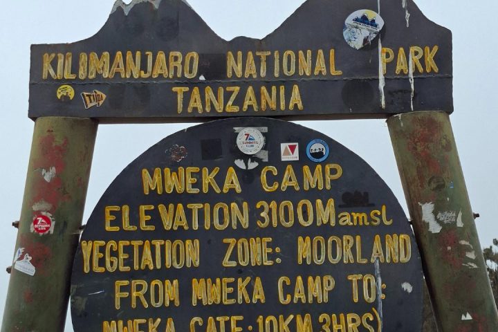 kilimanjaro-4.jpg