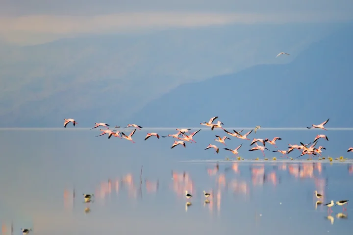 lake-manyara-national-park-banner