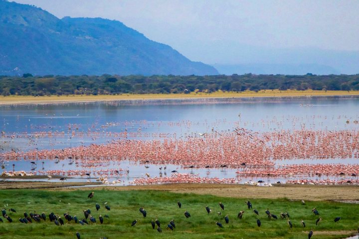 lake_manyara_national_park