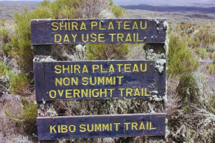 shira plateau (1)