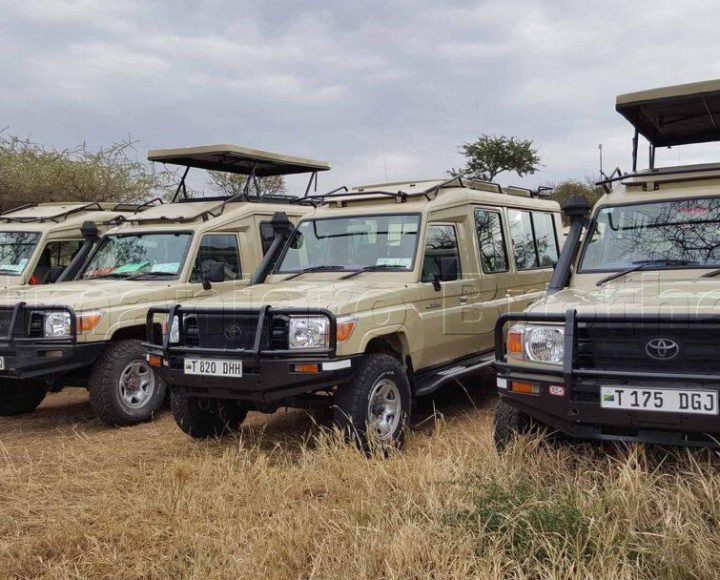 Kilimanjaro Brothers Safaris